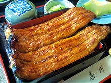 ♪久しぶりに梅B！！　雄踏の”康川”へいってきましたよ～