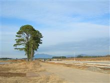 消えた谷田部と追想カーグラフィックＴV
