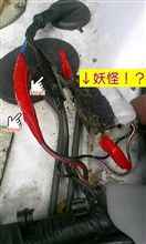 妖怪でした…