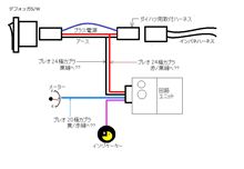 秋の自由研究。 