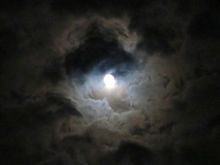「一服しながら空を見上げると」…の巻 