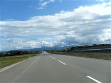 エコカー補助金制度が残したもの 