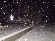 ついに初雪 