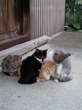 ついに… v(^-^)v