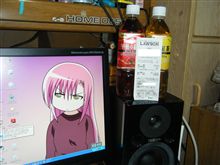 ラストチャンス！ 