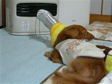 暖房器具に｡｡｡ 