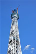 スカイツリーなトーキョ～♪