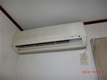 ホントに10月なの～(。_゜)〃ドテッ!