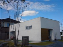白い建物と樹のあるお店