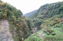 ちょっと早い紅葉を見てきました。 ちょっと早い紅葉を見てきました。