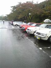 雨の中集まってます。 雨の中集まってます。