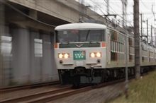 今日の１枚 