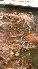 行った気分で 行った気分で