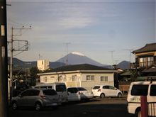 今朝は 