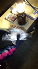 太刀魚釣りリアルタイム情報①