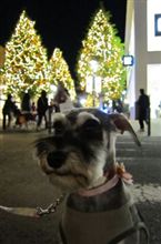 もうクリスマス