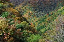 塩原温泉に紅葉♪お母様軍団に（涙