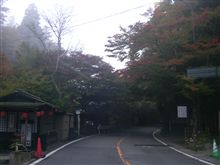 高雄方面のお山の紅葉。11/6 