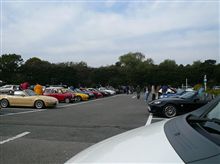 ちょっとだけおは玉に