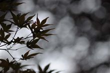 秋の夕暮れ