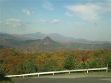 11月なのに22℃って・・・
