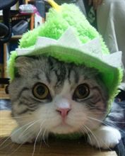 また目の手術
