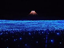 イルミネーション
