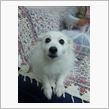 ウチのお嬢様の画像はお守りか