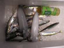 今日の釣果(汗 今日の釣果(汗