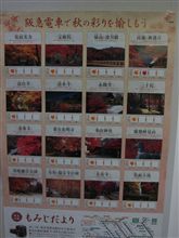 紅葉情報