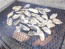 おいしい焼き牡蠣はいかがでしょうか♪