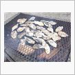 おいしい焼き牡蠣はいかがでしょうか♪