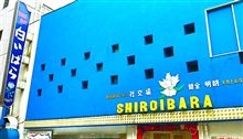 白昼のジギー･スターダスト