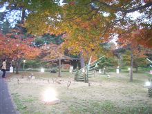 森林公園の紅葉。
