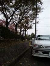 納車３日目～。