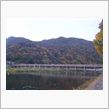 嵐山方面のお山の紅葉。11/ ...