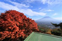 11月7日　山梨　紅葉台　紅葉狩り