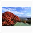 11月7日　山梨　紅葉台　紅葉狩り