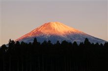 今朝の赤富士