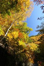 11月10日　山梨　通仙峡・昇仙峡　紅葉狩り