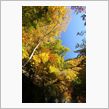 11月10日　山梨　通仙峡・昇仙峡　紅葉狩り