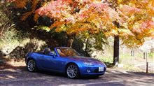 今年最後の紅葉ドライブ？