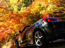 紅葉狩り10/11/20 紅葉狩り10/11/20