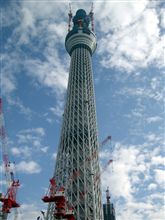 やっぱりデカイ