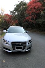 紅葉は未だ
