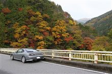 11月13日　岐阜東部北部　紅葉狩り 
