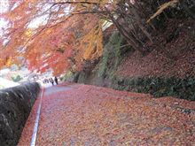 紅葉 