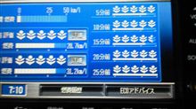 満開まであと一歩 満開まであと一歩