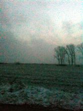 もう雪が積もったよ。