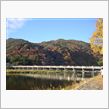 嵐山方面のお山の紅葉。11/ ...